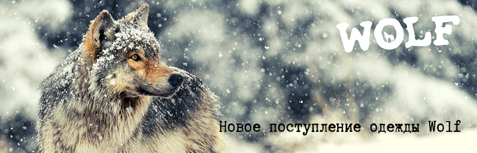 Новое поступление одежды "WOLF" 