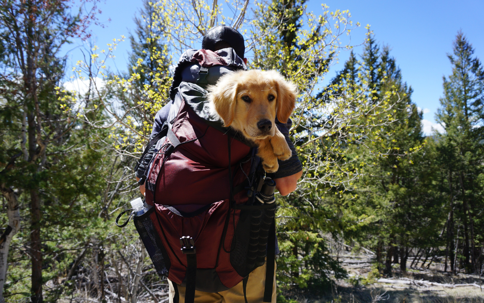 Как выбрать лучшие модели.png