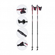 Палки  ECOS B013 для Скандинавской ходьбы