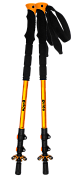 Палки Tramp TRR-014 Guide треккинговые