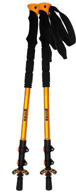 Палки Tramp TRR-014 Guide треккинговые