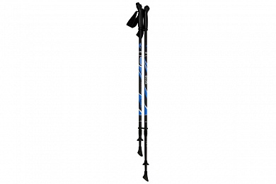 Палки  ECOS B004 для Скандинавской ходьбы