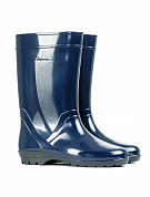 Сапоги Дарина Эдельвейс Д18 женские