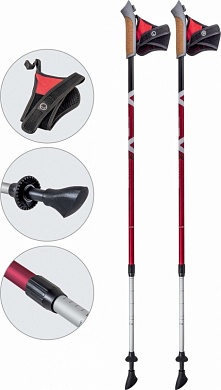 Палки  ECOS B016  для Скандинавской ходьбы