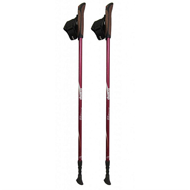 Палки  Tramp TRR-011 Fitness для Скандинавской ходьбы