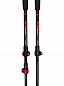 Палки  Tramp TRR-015 Carbon Треккинговые